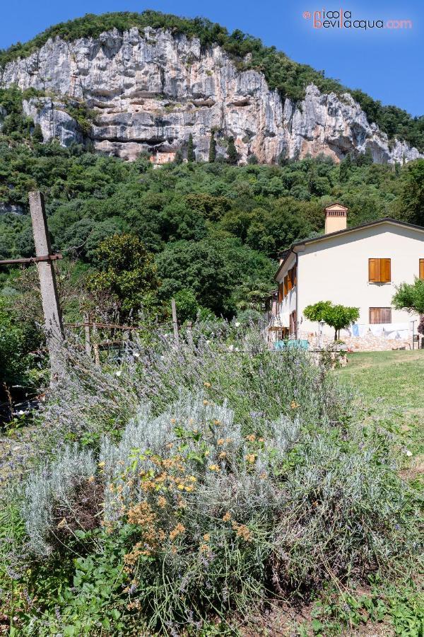 B&B In Valle Lumignano Exterior photo